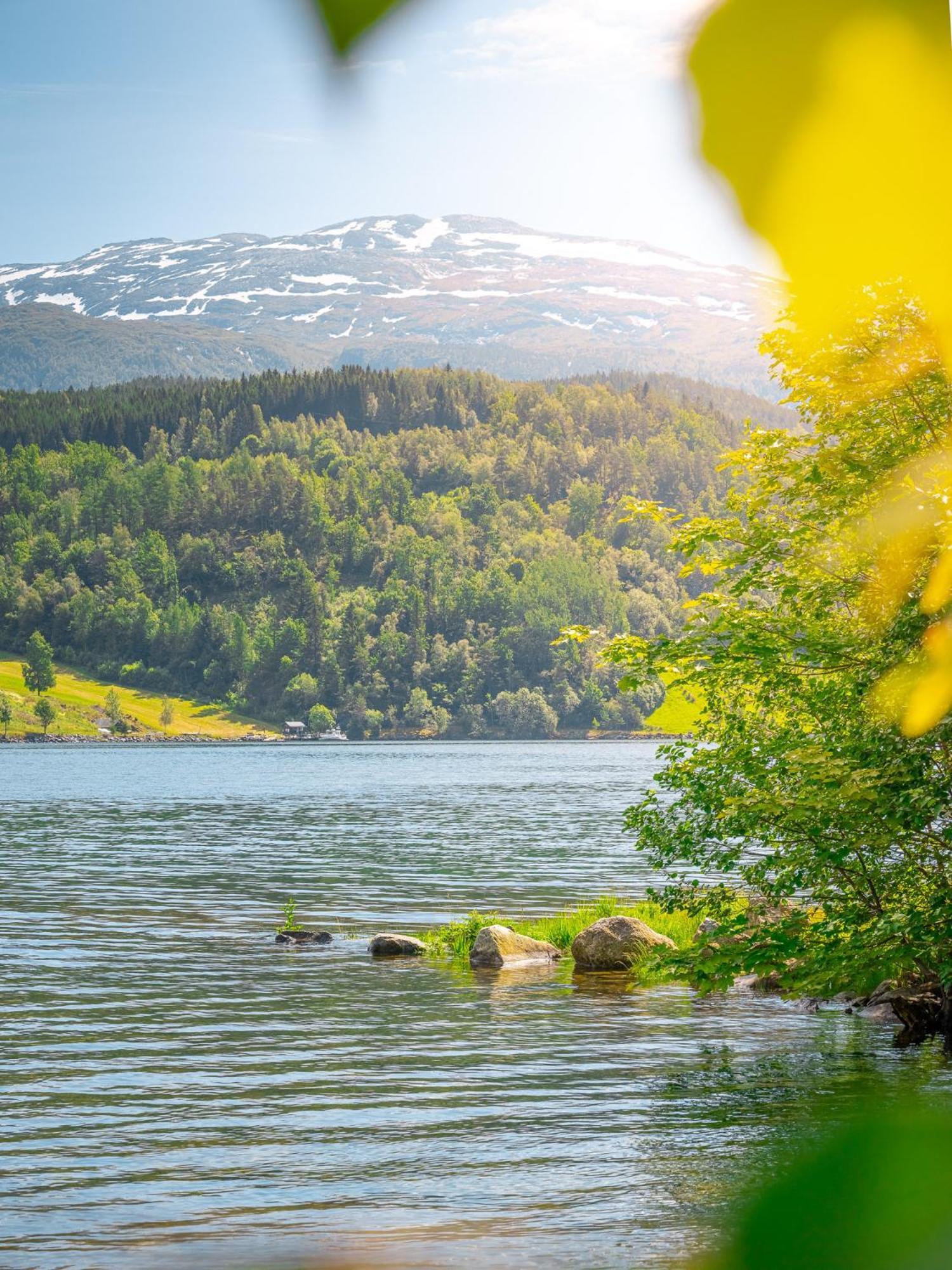 Ulvik Camping Bagian luar foto